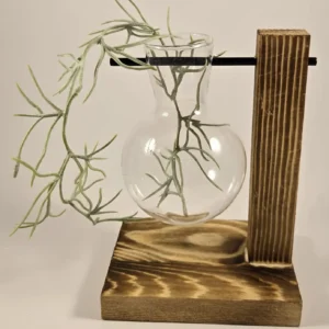 hydroponic glass vase
