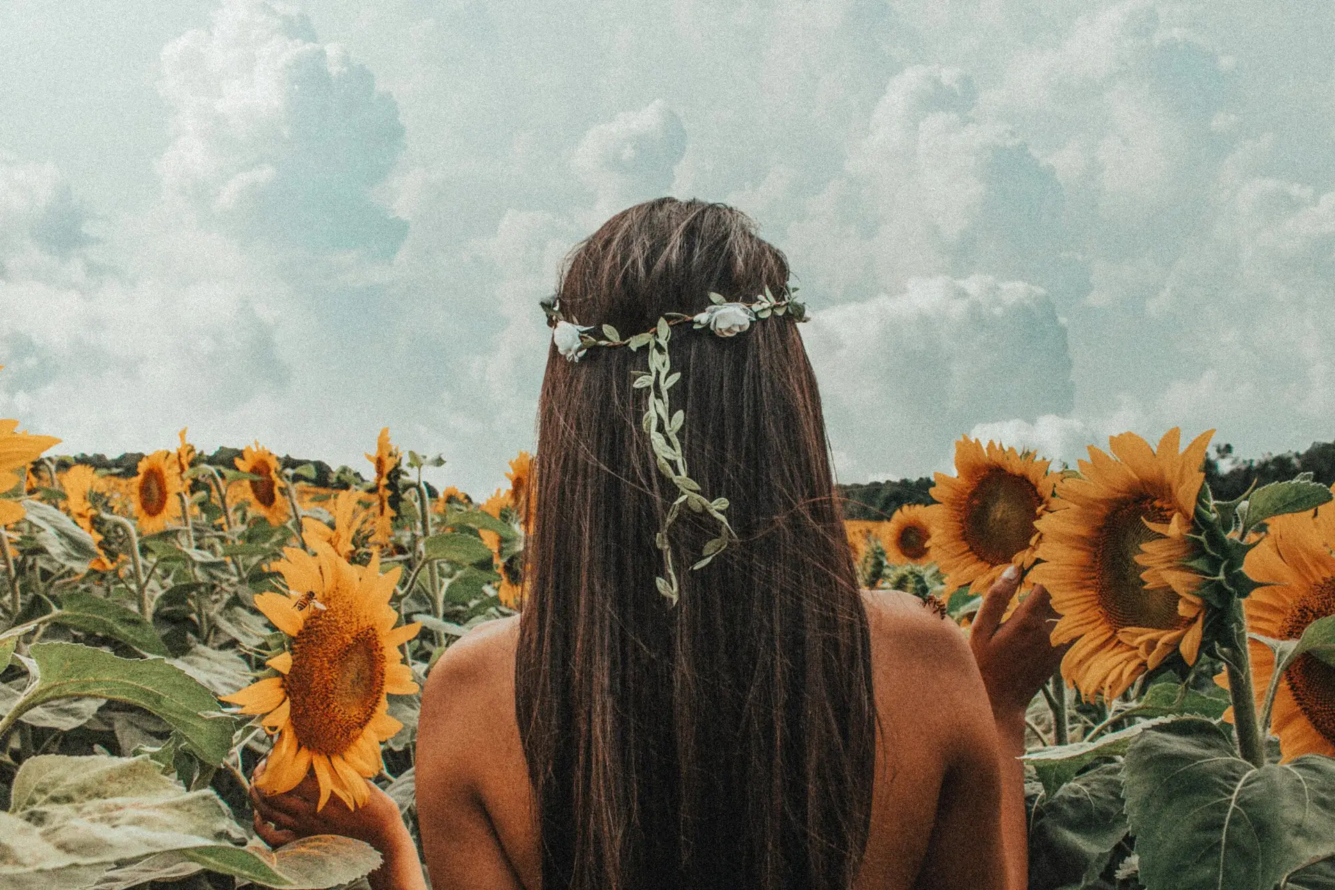 Back view of a woman in a sunflower field under cloudy skies, capturing a serene moment in nature.