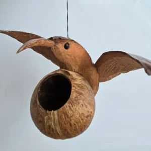 bird feeder - coconut hummingbird