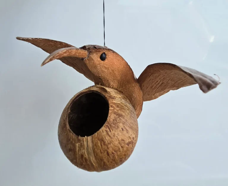 bird feeder - coconut hummingbird