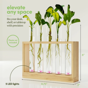 Light-up Bamboo Vial Air Planter