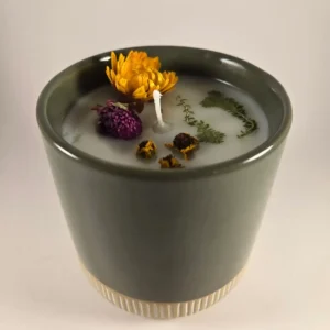 bird of paradise candle