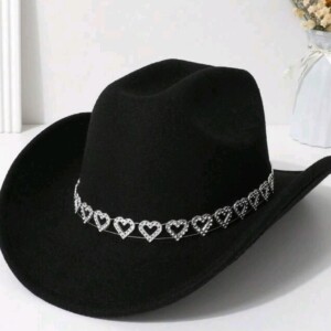 wide brim western hat