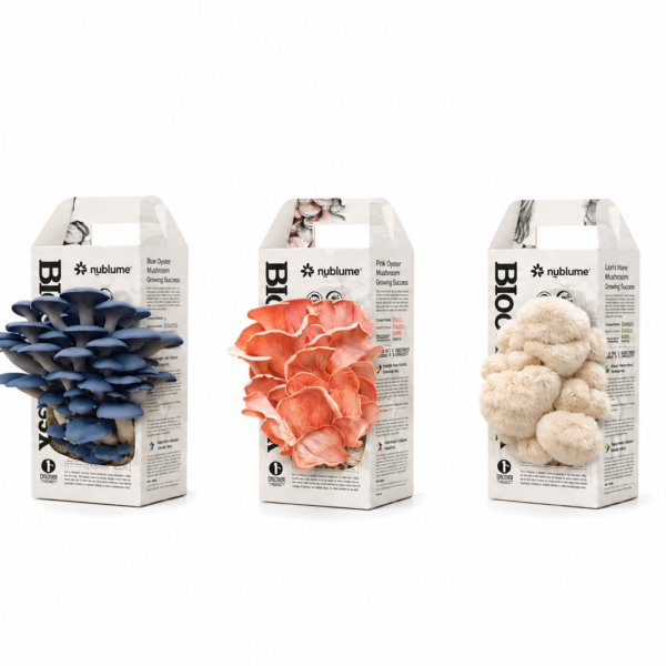 edible mushrooms kit