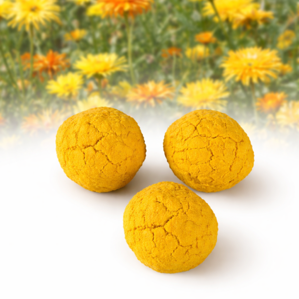 seed bombs