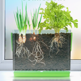 kids root viewer - Image 2