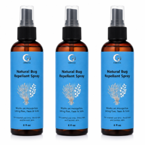Natural Bug Repellent Spray